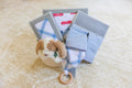Baby gift set with clothes, a plush toy, and a teething ring on a beige blanket.